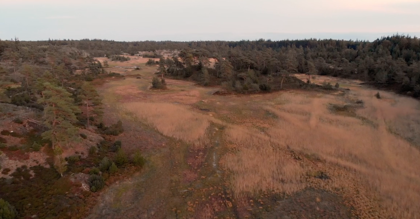 Screenshot 2018-09-26 09.29.23.png