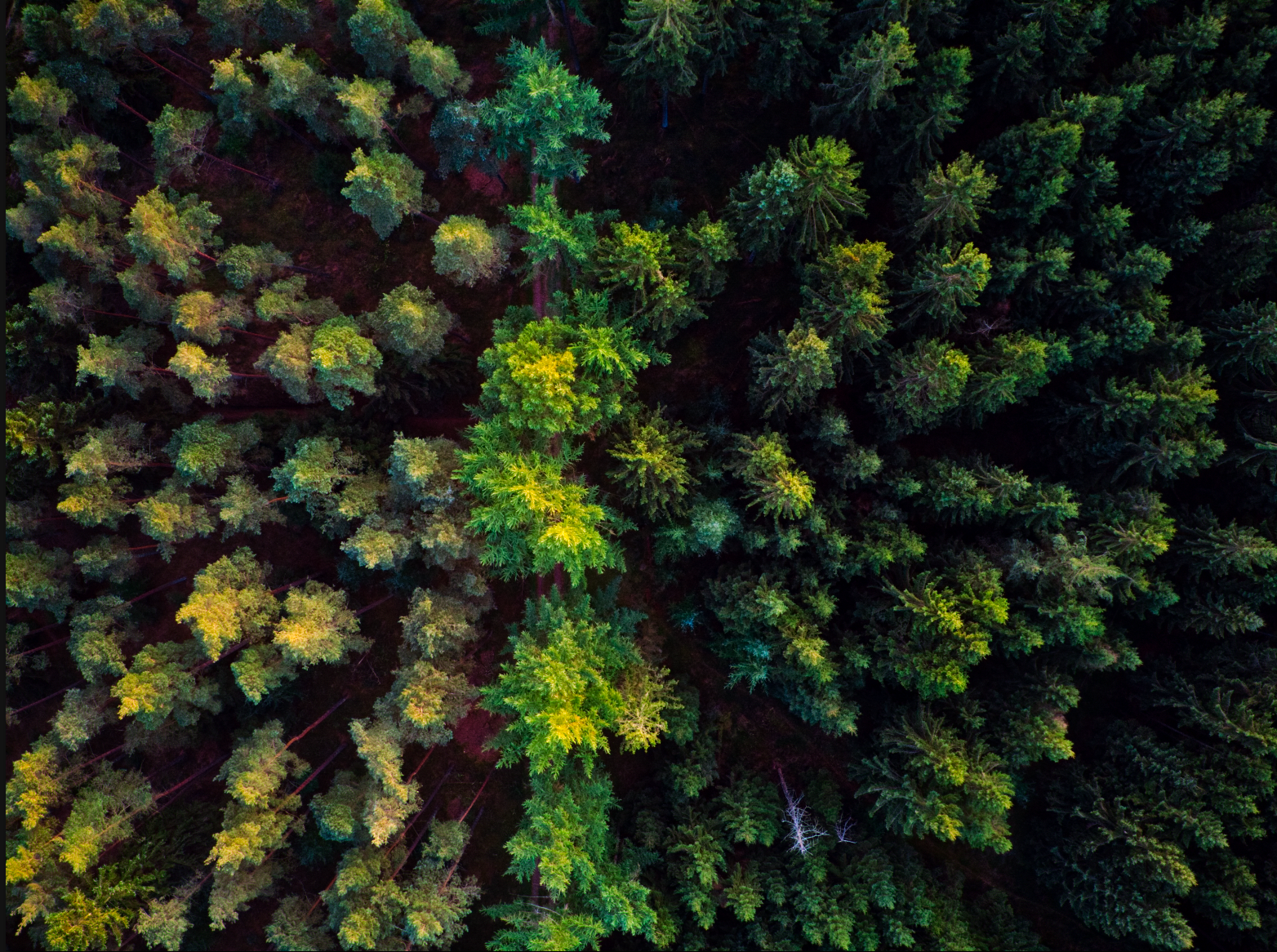 Screenshot 2018-09-25 23.42.08.png