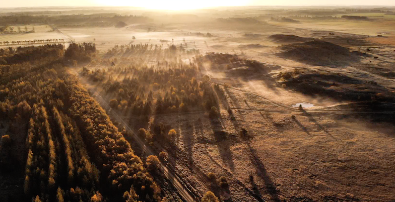 Screenshot 2018-11-03 18.46.37.png