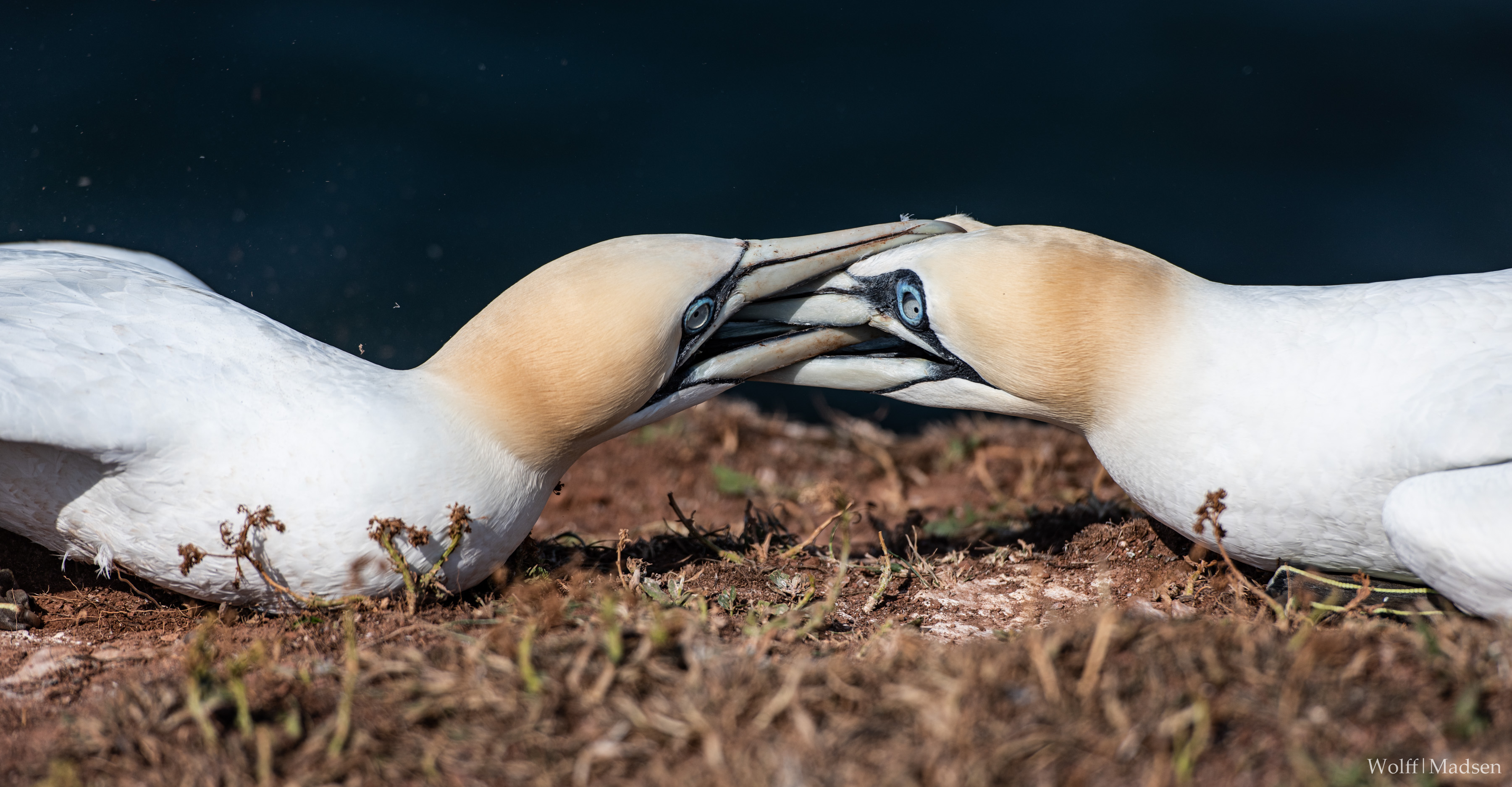 TWM4886 103542 05Jun2019