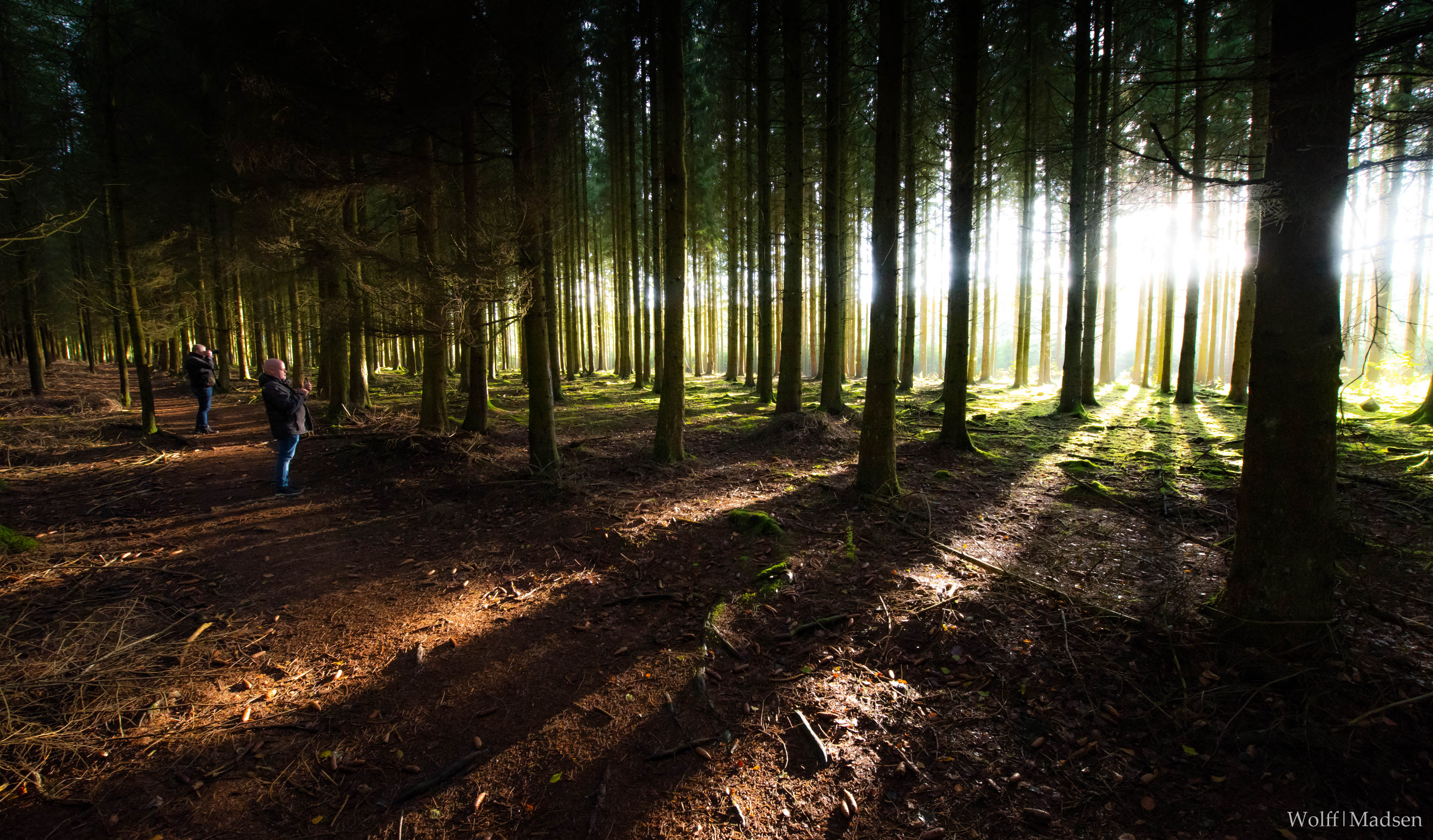 TWM7038 170704 27Sep2019